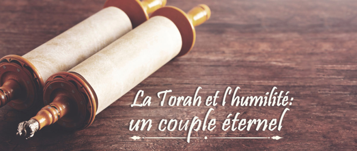 La Tora Et L Humilite Un Couple Eternel Behar Breslev